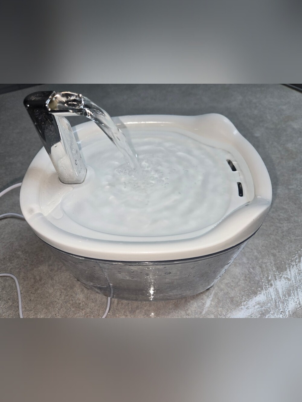 Pet Water Fountain